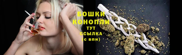 гидропоника Белоозёрский
