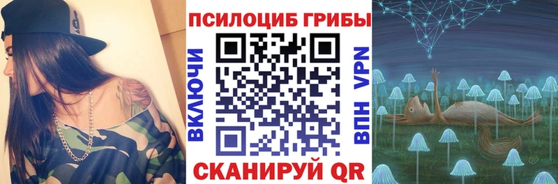 Купить закладки  Пудож  Псилоцибиновые грибы Psilocybine cubensis 