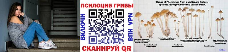 Псилоцибиновые грибы мицелий Пудож